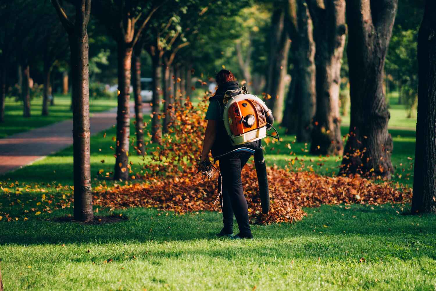 Best Tree Trimming Near Me  in USA